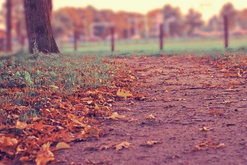 GPT-5.5 in Practice: Six Months of Real Use Cases Reviewed